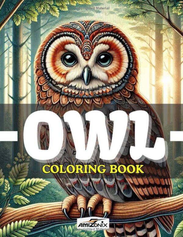 Owl Coloring Book